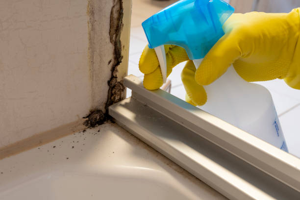 Best Crawl Space Mold Removal  in Arcola, IL